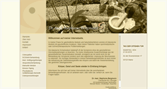 Desktop Screenshot of dr-bergmann-mainz.de